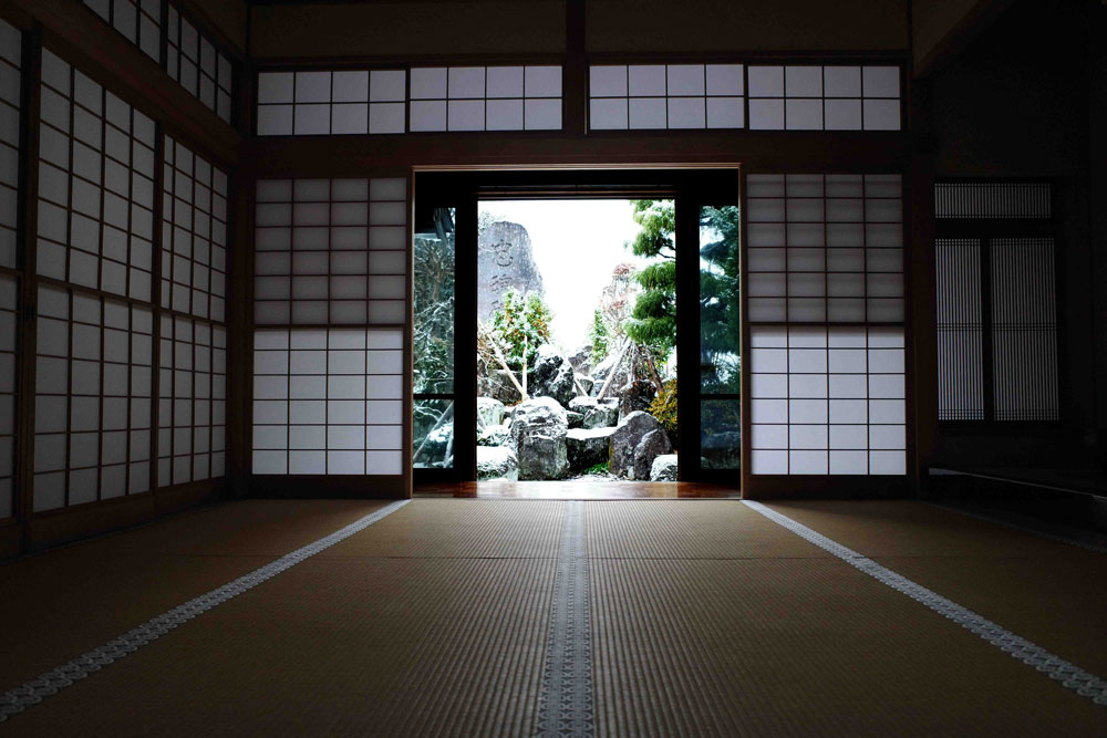 View from the window