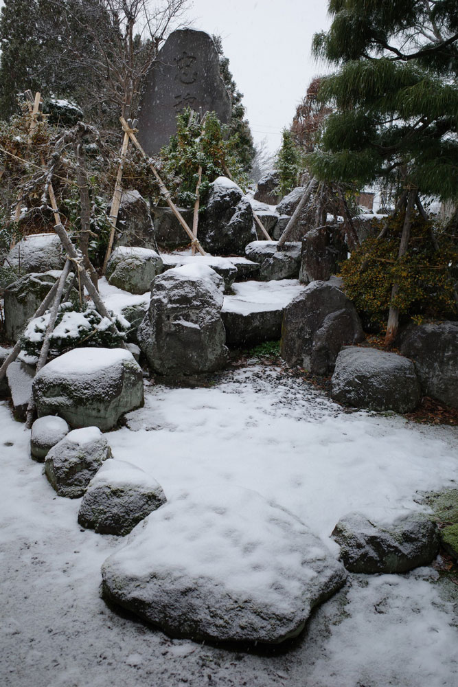 View from the window (Japanese garden)