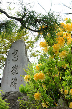 View from the window (Flowers and Stone Monuments)