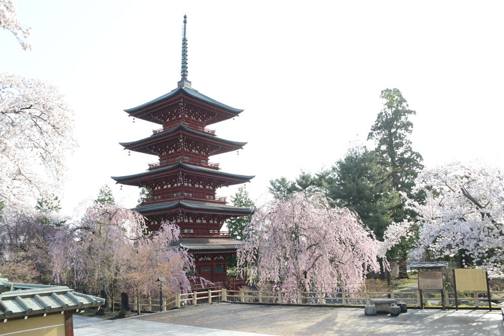 Five-Storied Pagoda in spring