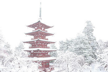 Five-Storied Pagoda in the snow
