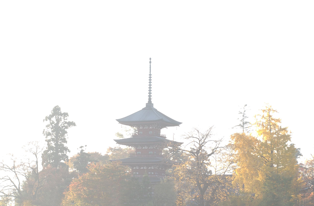Saishoin Five-Storied Pagoda view from the embankment located