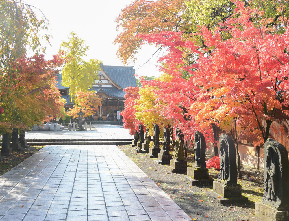 “Approach and Hondo in Autumn