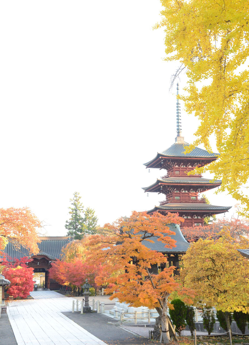 View from “Hondo” Main Hall