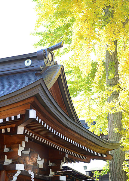 They are taught to be Gobo Shizenki, or the four good demons who save people from suffering of various kinds of lost emotions