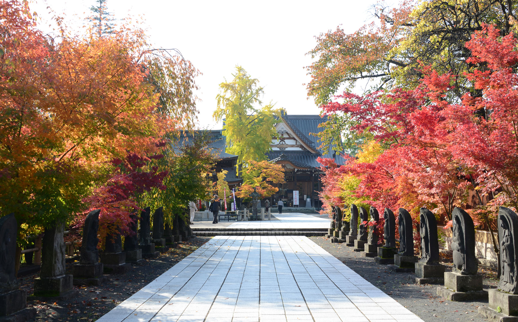 Saishoin 'Hondo' Main Hall in Autumn