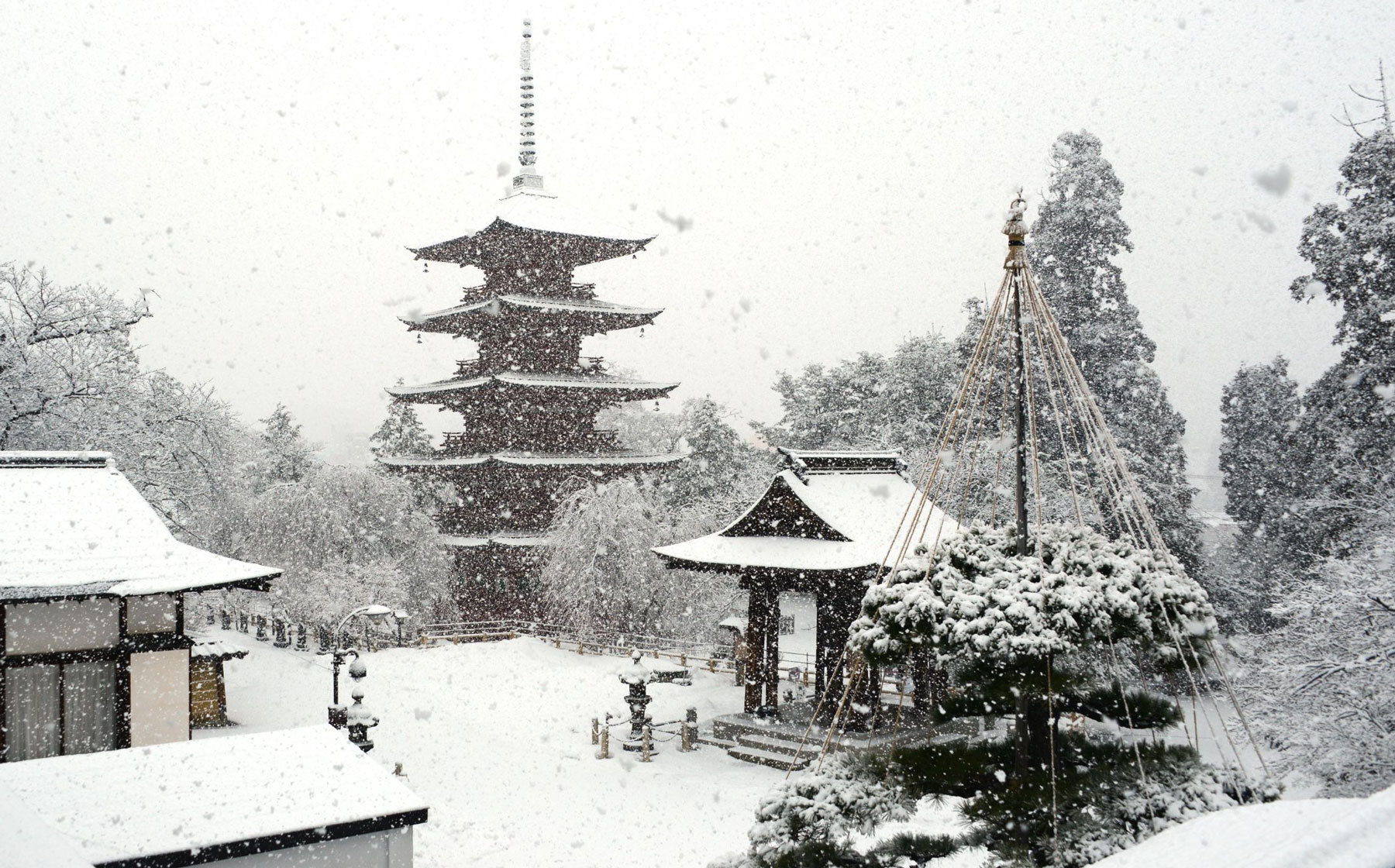 Saishoin Temple in the snow