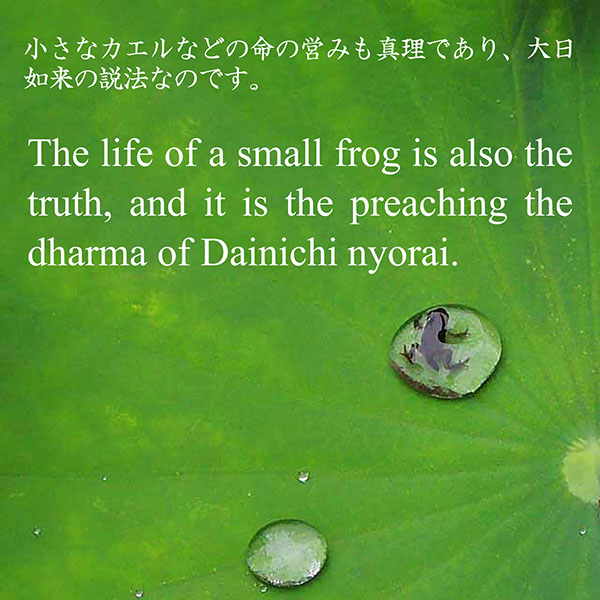 The life of a small frog is also the truth, and it is the preaching the dharma of Dainichi nyorai